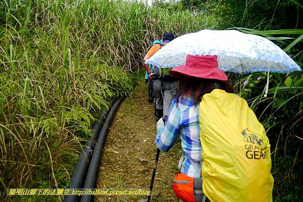 P1780455.jpg P1780455.jpg