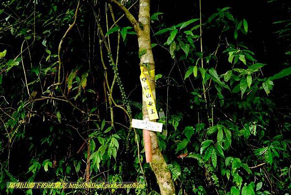 P1780461.jpg P1780461.jpg