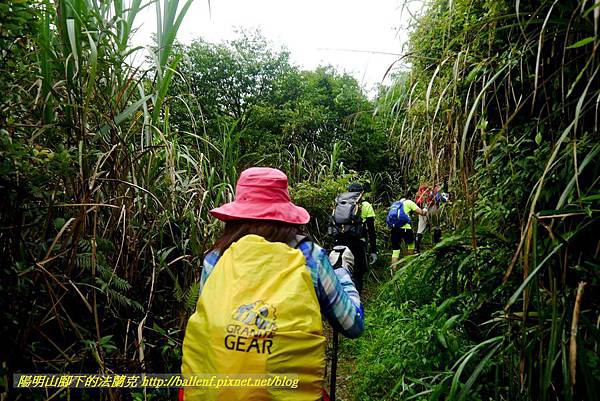 P1780462.jpg P1780462.jpg