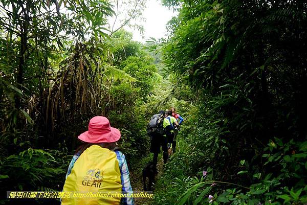 P1780463.jpg P1780463.jpg