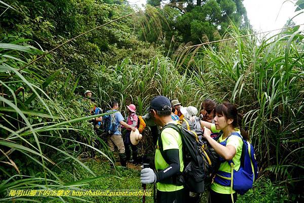 P1780464.jpg P1780464.jpg