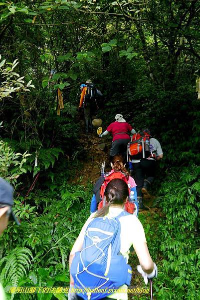 P1780465.jpg P1780465.jpg