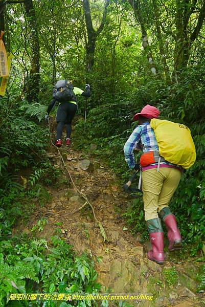 P1780466.jpg P1780466.jpg