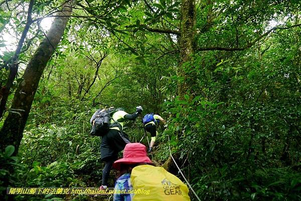 P1780467.jpg P1780467.jpg