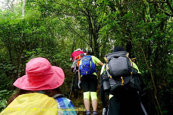 P1780468.jpg P1780468.jpg