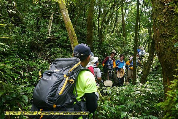 P1780472.jpg P1780472.jpg