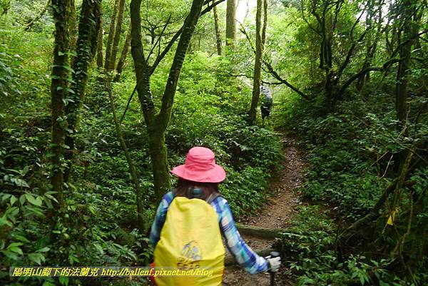 P1780474.jpg P1780474.jpg