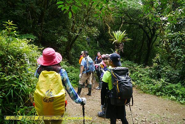 P1780475.jpg P1780475.jpg