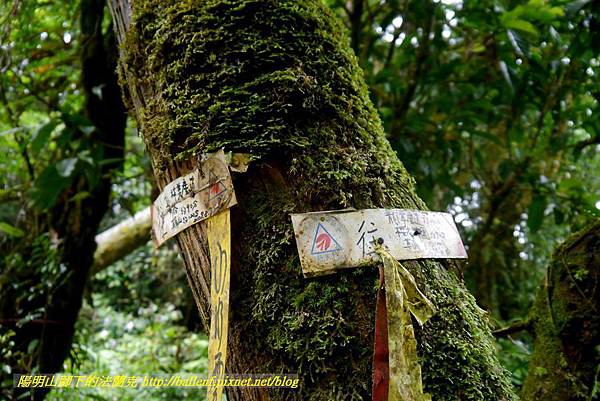 P1780476.jpg P1780476.jpg