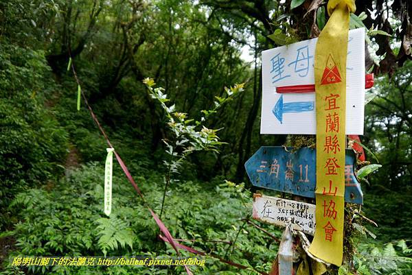 P1780477.jpg P1780477.jpg