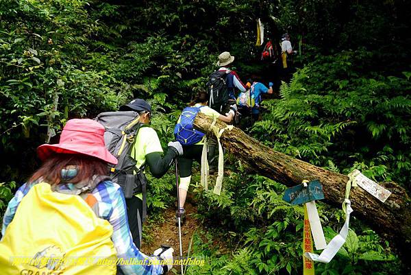 P1780480.jpg P1780480.jpg