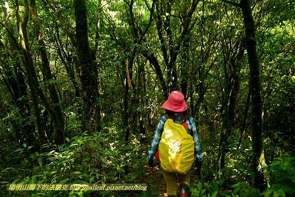 P1780481.jpg P1780481.jpg