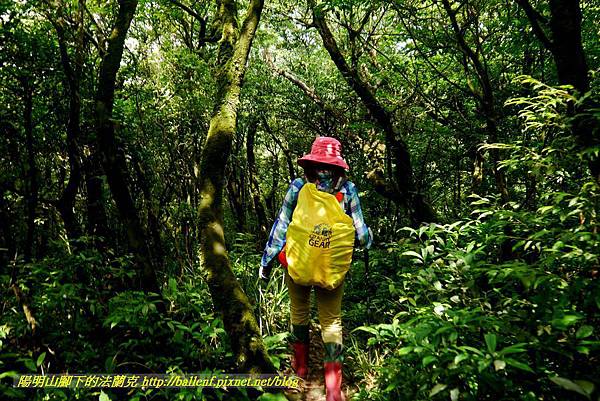 P1780482.jpg P1780482.jpg