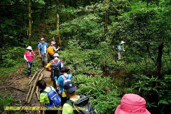 P1780483.jpg P1780483.jpg