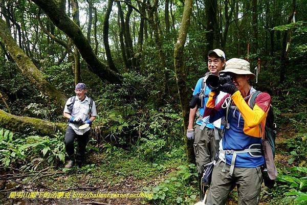 P1780484.jpg P1780484.jpg