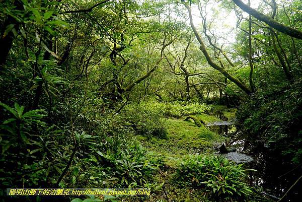 P1780487.jpg P1780487.jpg