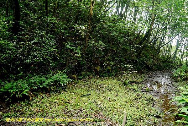 P1780488.jpg P1780488.jpg