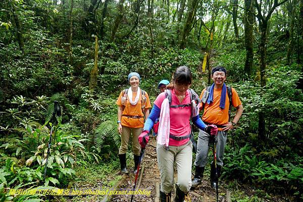 P1780489.jpg P1780489.jpg