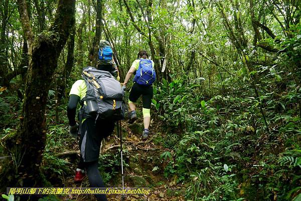 P1780490.jpg P1780490.jpg