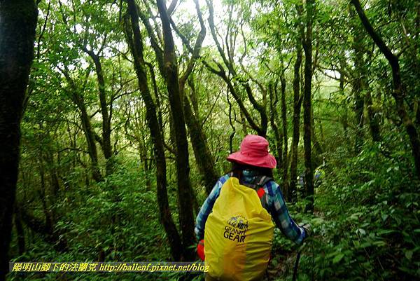 P1780492.jpg P1780492.jpg