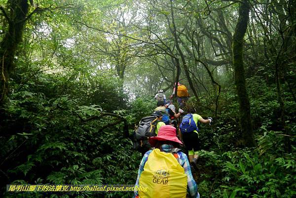 P1780493.jpg P1780493.jpg