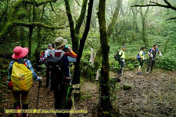 P1780494.jpg P1780494.jpg