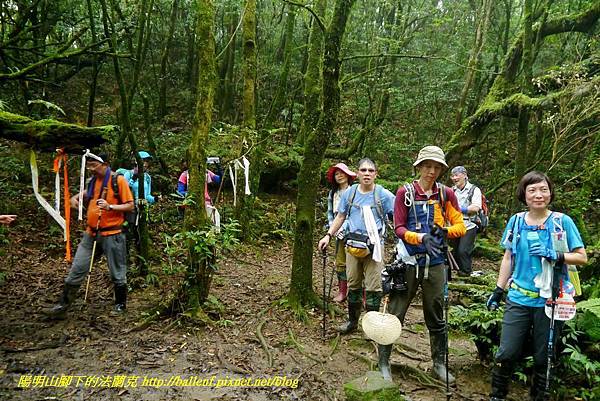 P1780495.jpg P1780495.jpg