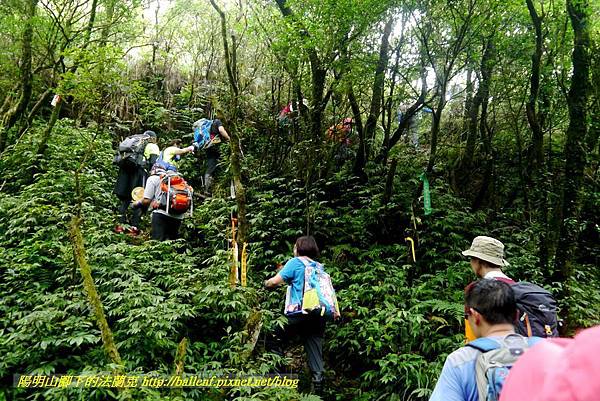 P1780496.jpg P1780496.jpg