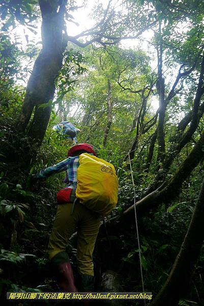 P1780497.jpg P1780497.jpg