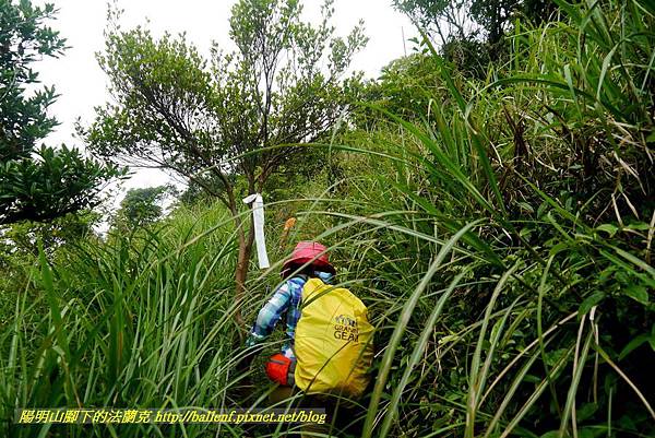 P1780498.jpg P1780498.jpg