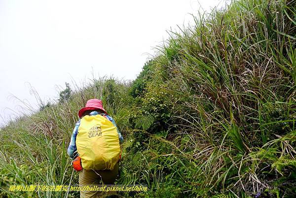 P1780499.jpg P1780499.jpg