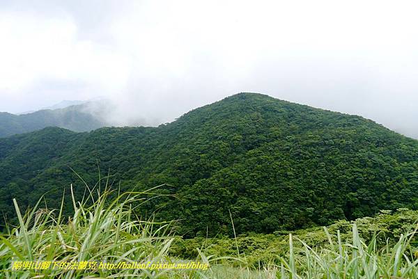 P1780507.jpg P1780507.jpg