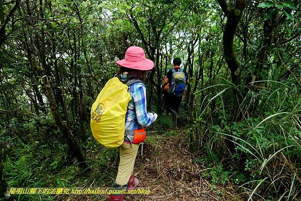 P1780512.jpg P1780512.jpg