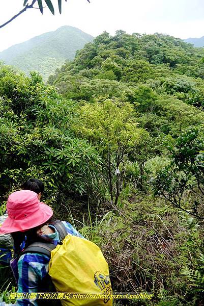 P1780513.jpg P1780513.jpg