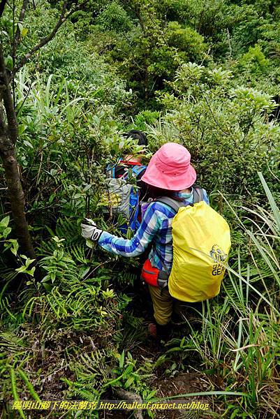 P1780514.jpg P1780514.jpg