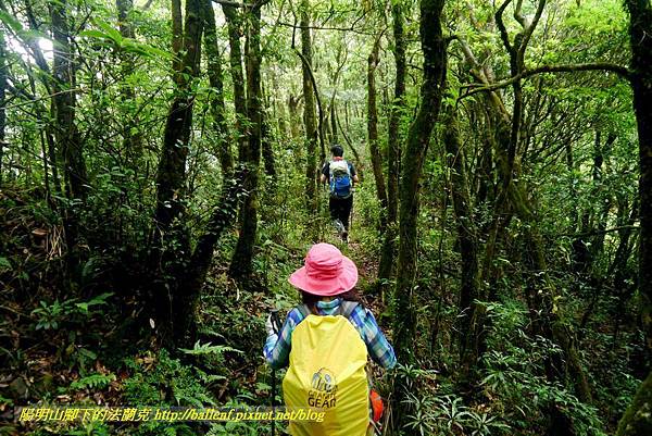 P1780515.jpg P1780515.jpg