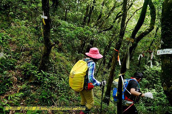 P1780516.jpg P1780516.jpg