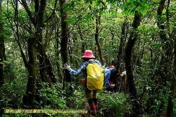 P1780518.jpg P1780518.jpg