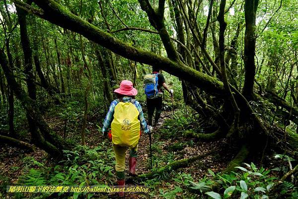 P1780519.jpg P1780519.jpg