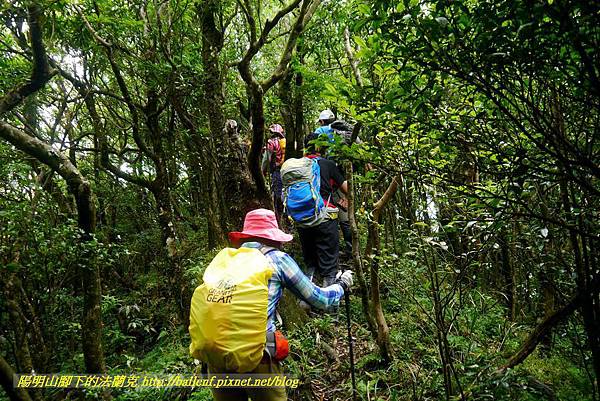 P1780521.jpg P1780521.jpg