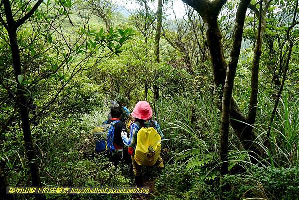 P1780522.jpg P1780522.jpg