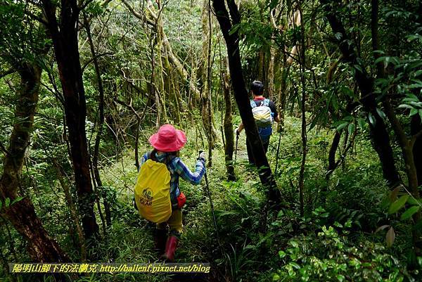 P1780523.jpg P1780523.jpg