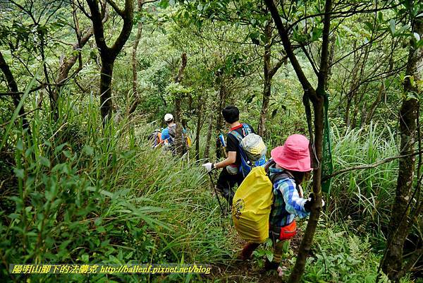 P1780525.jpg P1780525.jpg