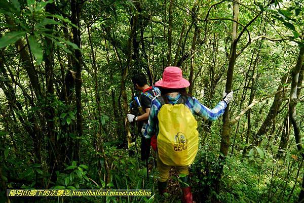 P1780526.jpg P1780526.jpg