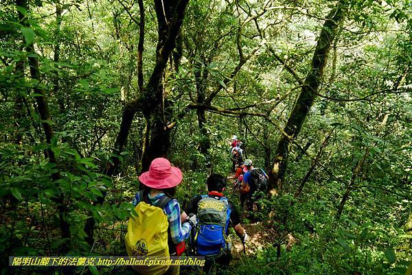 P1780527.jpg P1780527.jpg