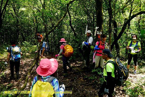 P1780528.jpg P1780528.jpg