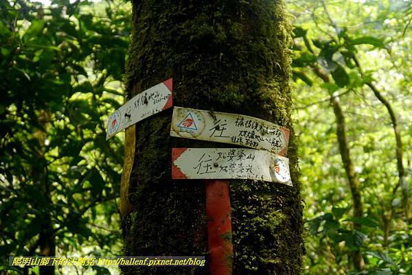 P1780529.jpg P1780529.jpg