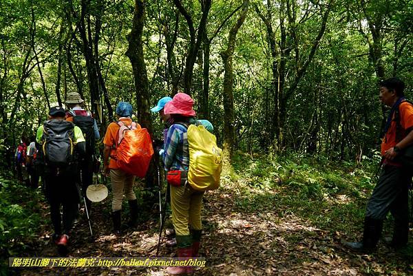 P1780530.jpg P1780530.jpg