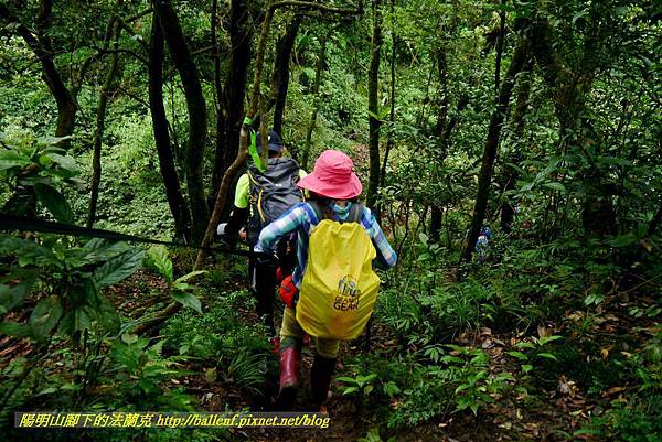 P1780532.jpg P1780532.jpg