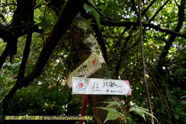 P1780533.jpg P1780533.jpg